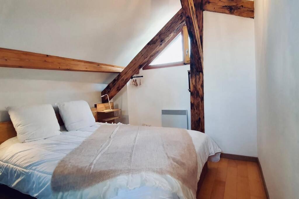 L'Appart Du Paquier Apartment Annecy Exterior foto